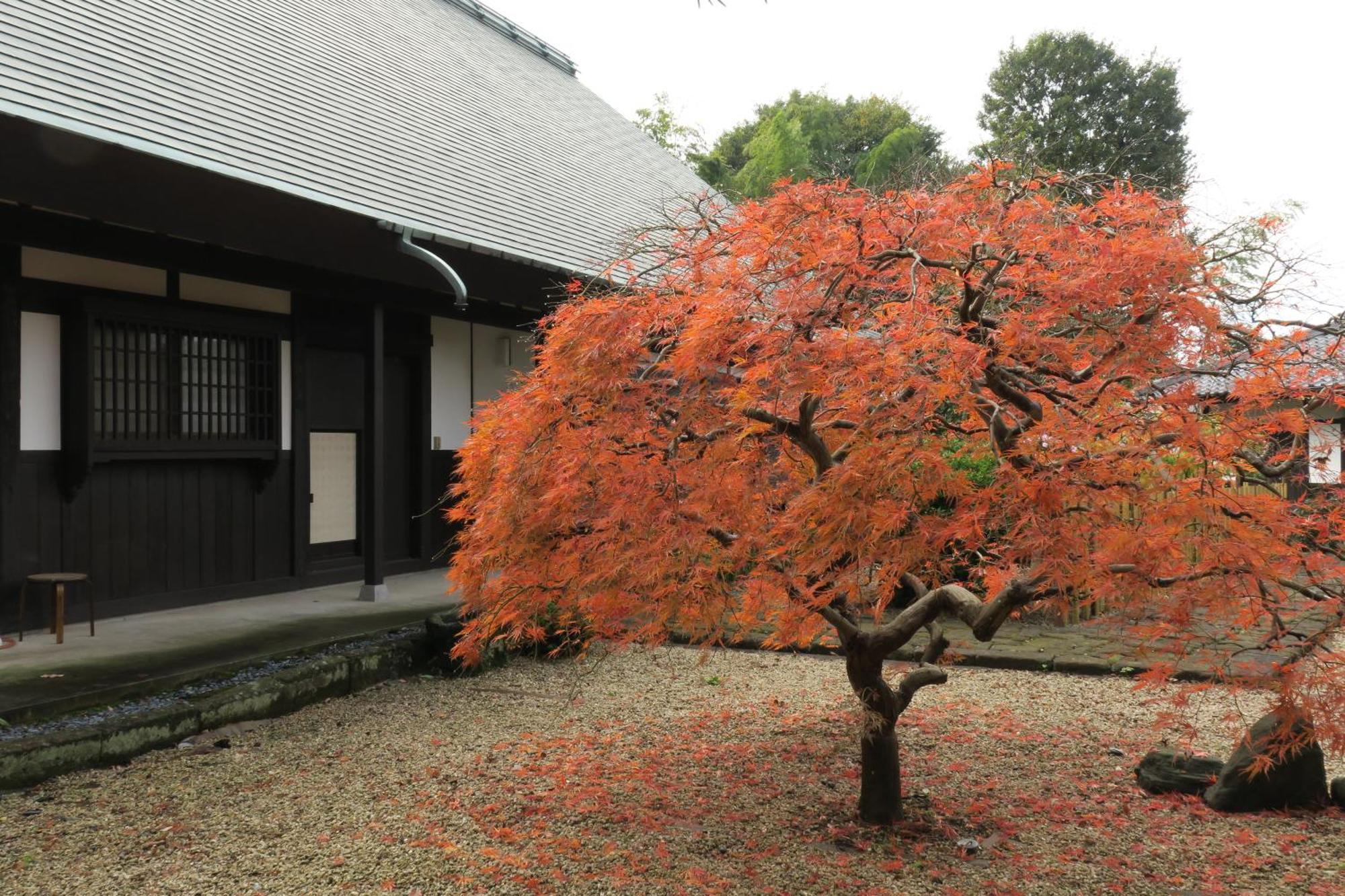 甘糟屋敷 Amakasu Yashiki Kamakura Villa Kültér fotó